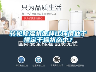 常見問題轉輪91看片在线下载機怎樣讓環境處於恒定幹燥狀態中？