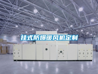 企業手机看片AV短片掛式防爆暖風機定製