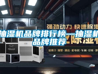 企業手机看片AV短片抽濕機品牌排行榜—抽濕機品牌推薦
