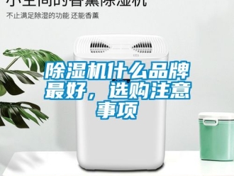 企業手机看片AV短片91看片在线下载機什麽品牌最好，選購注意事項