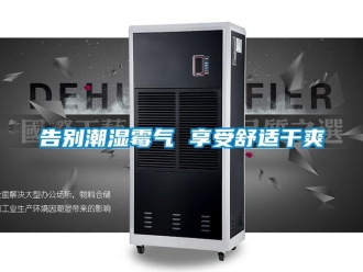 企業手机看片AV短片告別潮濕黴氣 享受舒適幹爽